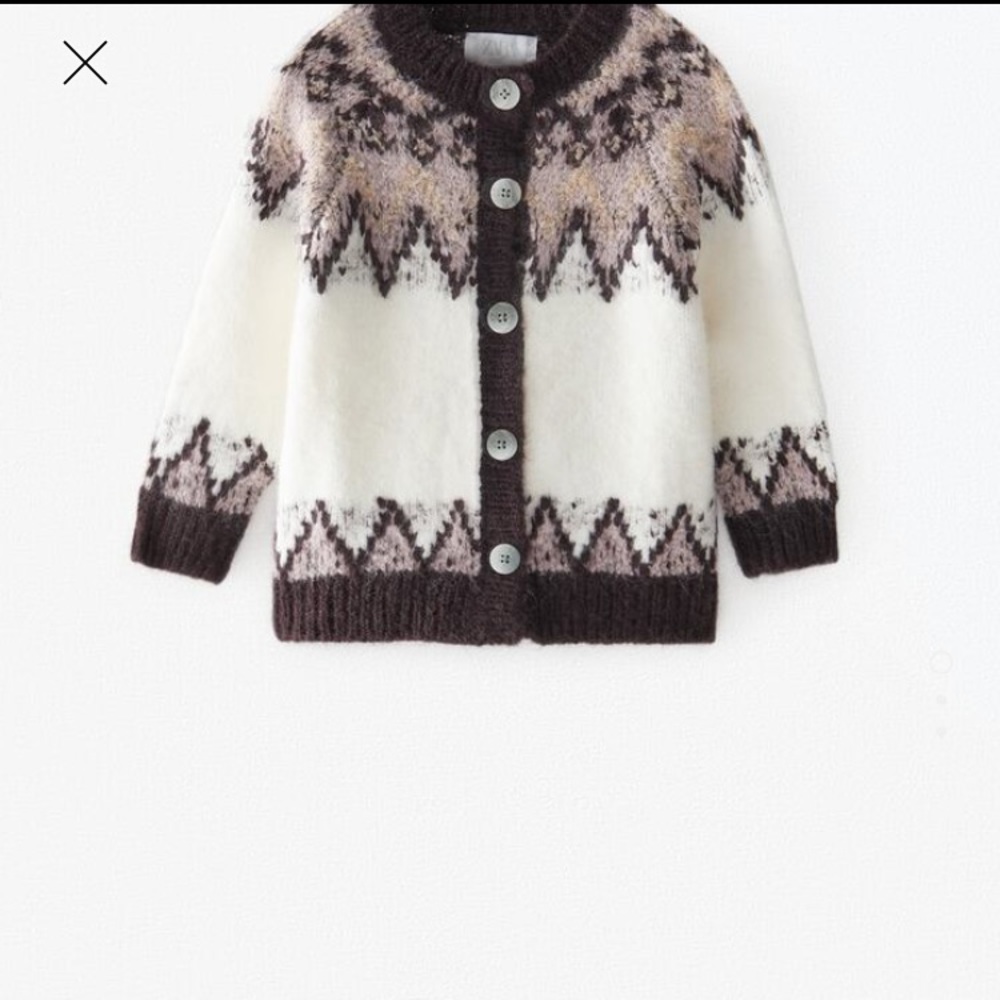 Zara button up sweater
